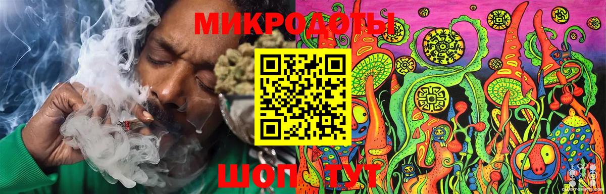 Псилоцибиновые грибы мицелий Бутурлиновка